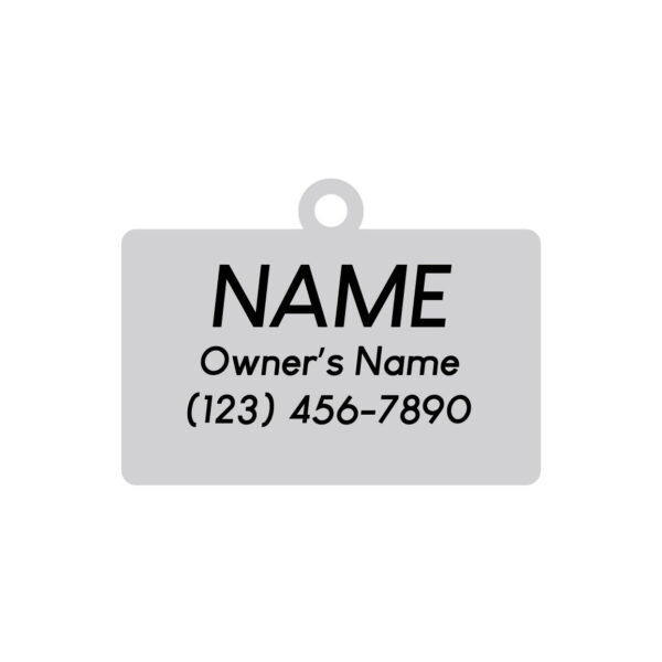 Hello My Name is Blank - Silver - Pet ID Tag