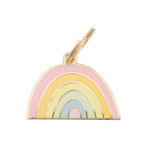 Rainbow Pet ID Tag