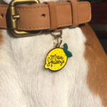 Main Squeeze Pet ID Tag