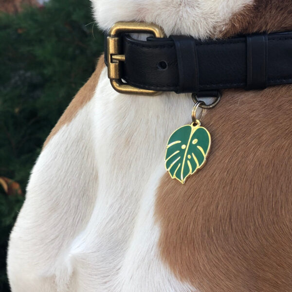 Monstera Leaf Pet ID Tag