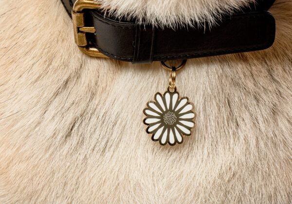 Daisy Pet ID Tag