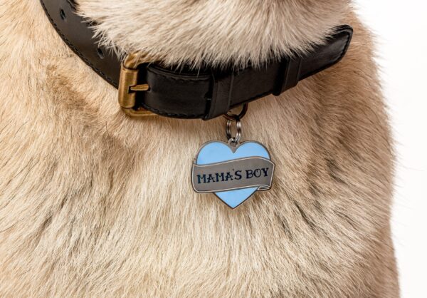 Mama's Boy Pet ID Tag