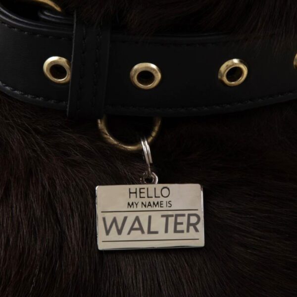 Hello My Name is Blank - Silver - Pet ID Tag