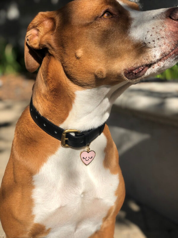 Smiling Heart Pet ID Tag